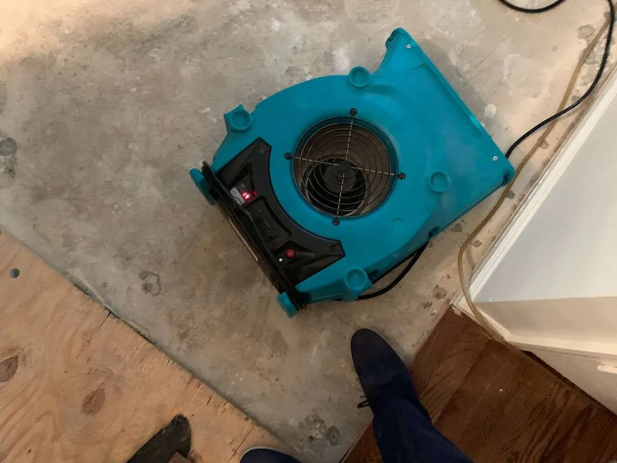 Air mover drying subfloor during Commercial Water Damage Restoration in Willis